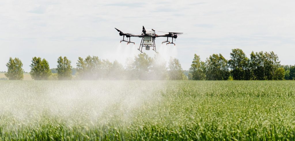 Drone spraying crops and field