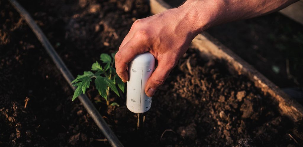 Farm sensor being placed in the soil