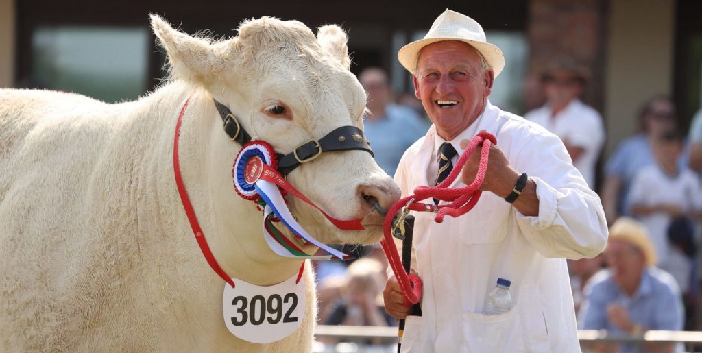 Royal Welsh Show