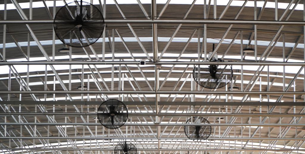 Fans on the steel beams of a farm building